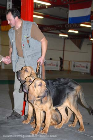 gal/Expo_janvier_2008/zoom (51).jpg